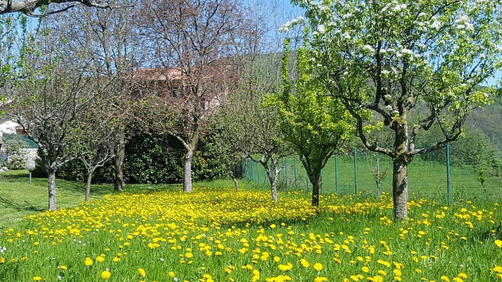 Villa San Giorgio Pellio Superiore Exterior foto